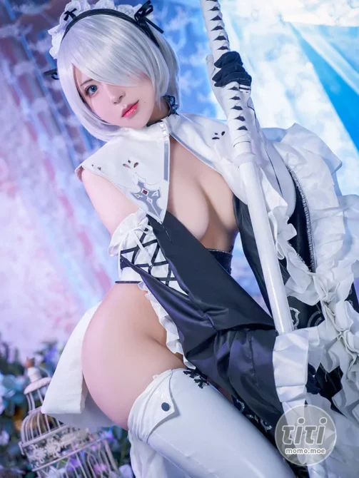 虎森森 – NO.04 2B女仆 [15P-78MB]