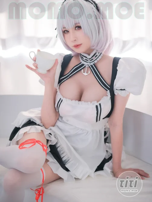 西园寺南歌 – NO.026 女仆本 天狼星 [35P-143M]