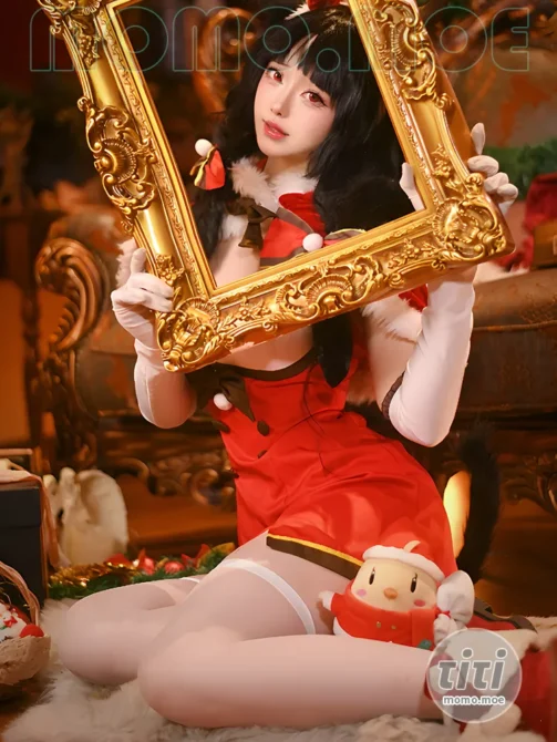 前野太太 – NO.001 大潮圣诞 [29P-249M]