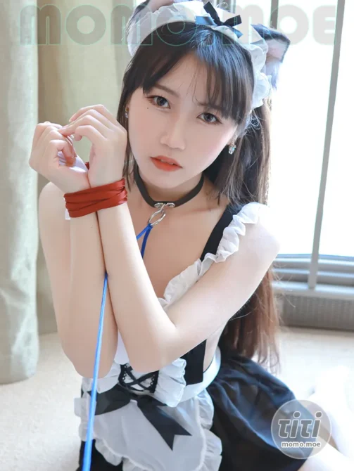 不呆猫 – NO.069 小女仆 [26P-230M]